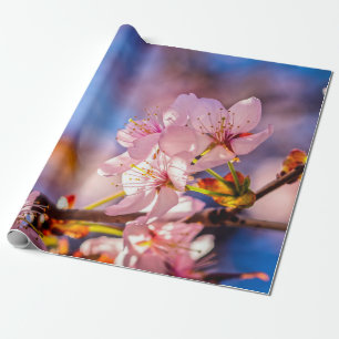 Papel De Presente Brilhante Sakura Blossoms