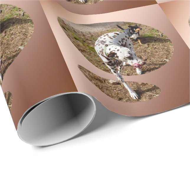 Papel De Presente Brown Spotted Dalmatic, (Ponta do rolo)