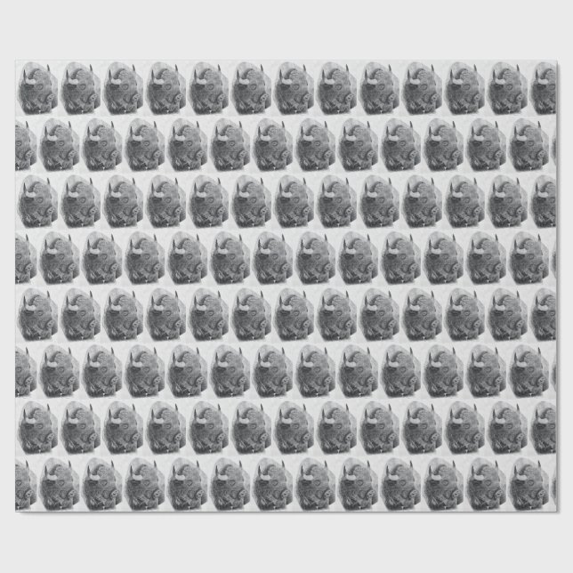 Papel De Presente Búfalo Americano (Aberto)