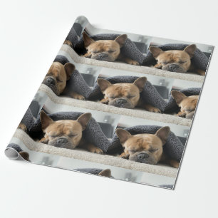 Papel De Presente buldogue francês debaixo de cobertor
