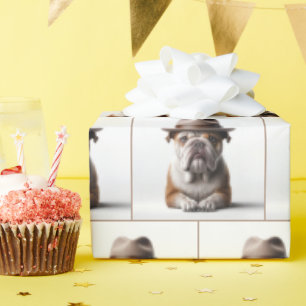 Papel De Presente Buldogue Vestindo Fedora