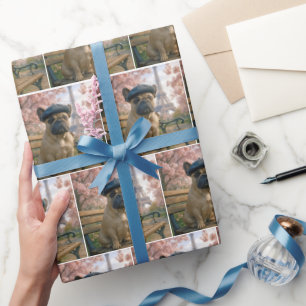 Papel De Presente Bulldog Francês em um Banco de Parque de Paris