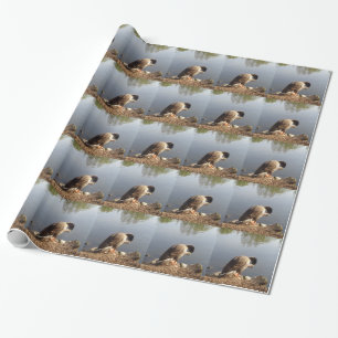 Papel De Presente Cabeça de arcos de Ganso de Namaste, Natureza, Vid