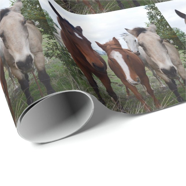 Papel De Presente Cabelo Franco: Deliciosos Problemas com Cavalos, (Ponta do rolo)