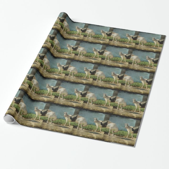 Papel De Presente Cabras leiteiras (Desenrolado)
