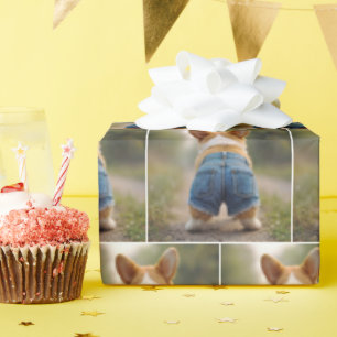 Papel De Presente Cachorro Corgi Vestindo os Shorts de Denim
