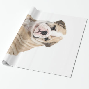 Papel De Presente Cachorro De Cachorro