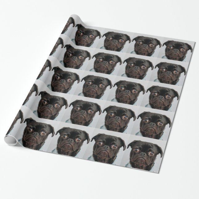 Papel De Presente cachorro de negócios (Desenrolado)