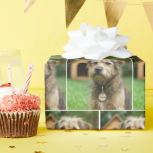 Papel De Presente Cachorro Desgrenhado Adotado Com Casa de Cachorro
