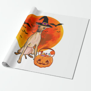 Papel De Presente Cachorro Halloween Italiano Greyhound Jack O Lante