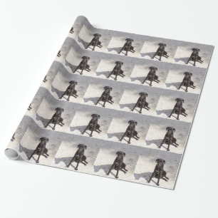Papel De Presente Cachorro negro com mau