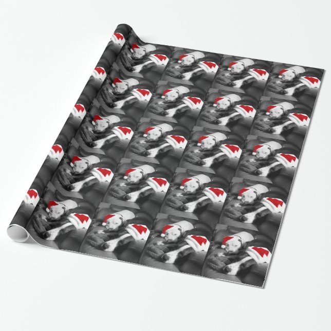 Papel De Presente cachorros pitbull filhotes de natal sonolentos ado (Desenrolado)