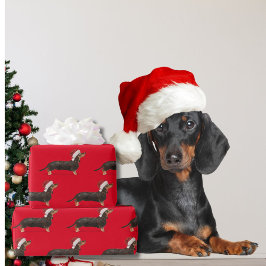 Papel De Presente Cachshund Cachorro Natal Red Santa Hat