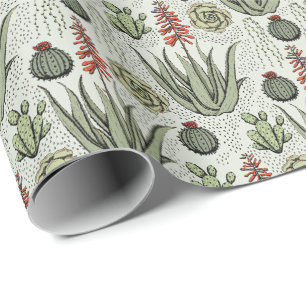 Papel De Presente Cacto Suculento de Aloe Vera Verde Claro