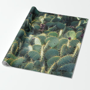Papel De Presente Cactos espinhosos