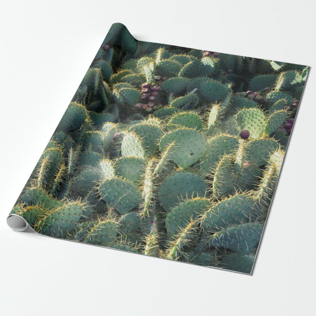 Papel De Presente Cactos espinhosos (Desenrolado)