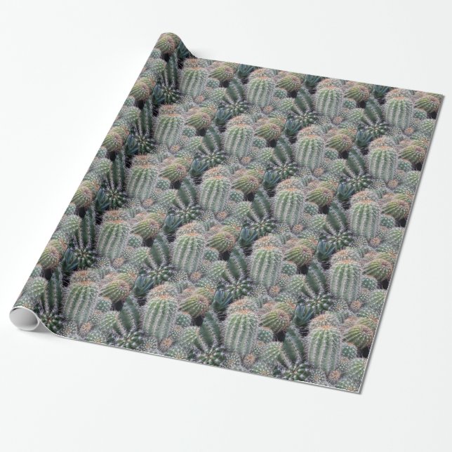 Papel De Presente Cactus (Desenrolado)