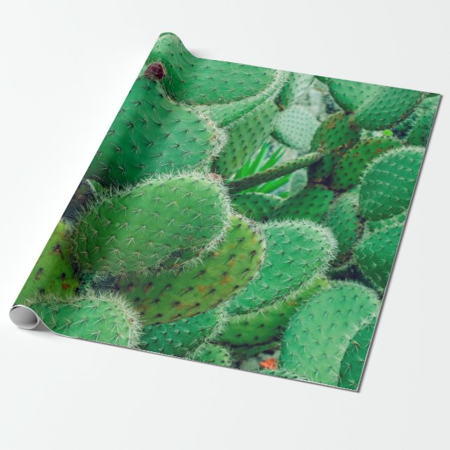 Papel De Presente Cactus, cacto de pera picante, espinhos de cacto,  (Desenrolado)