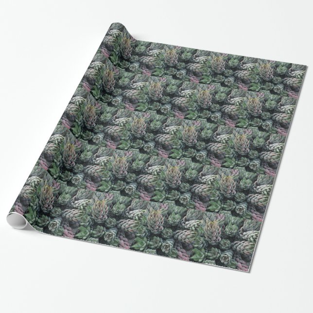 Papel De Presente Cactus Wraping Paper (Desenrolado)