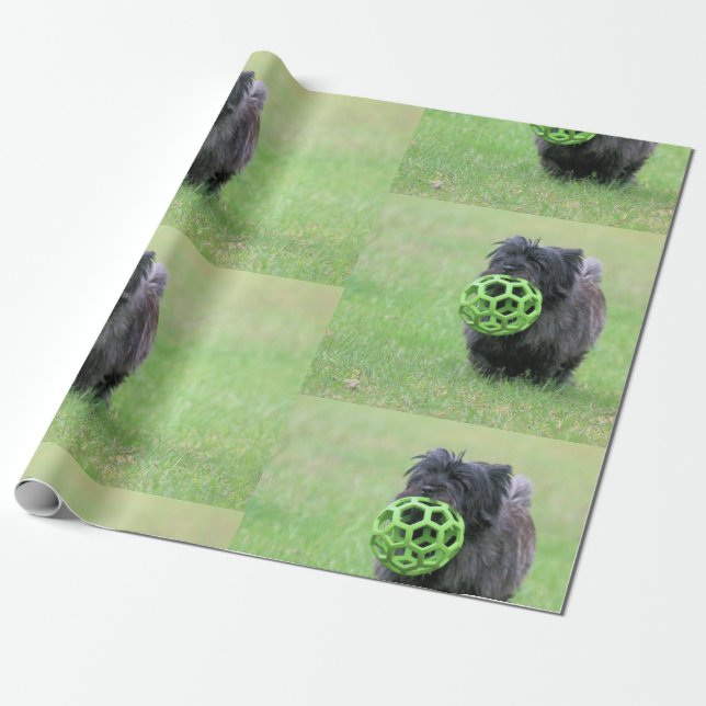 Papel De Presente Cairn terrier (Desenrolado)