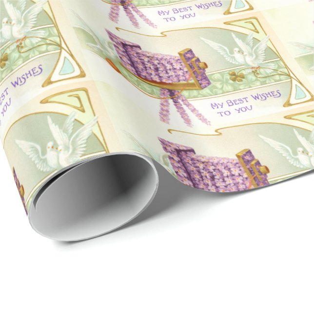 Papel De Presente Câmeras e pombas (Ponta do rolo)