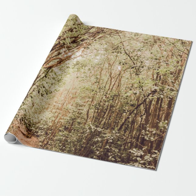 PAPEL DE PRESENTE CAMINHO RODADO COM ÁRVORES ALTAS E VERDES (Desenrolado)