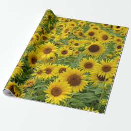 Papel De Presente Campo de girassol amarelo