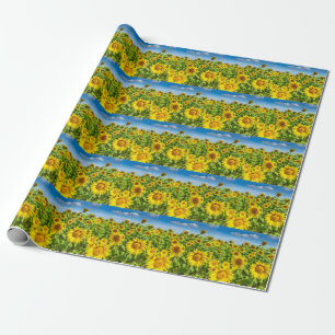 Papel De Presente Campo de girassol, dia ensolarado de verão.