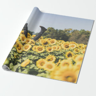 Papel De Presente Campo de girassol no dia