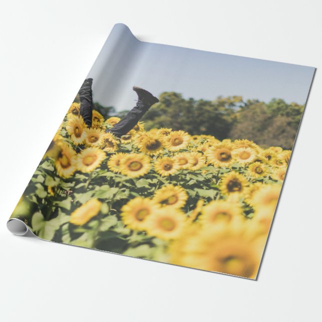 Papel De Presente Campo de girassol no dia (Desenrolado)