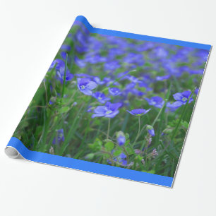 Papel De Presente Campo dos miosótis