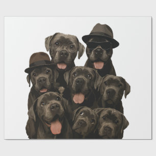 Papel De Presente Cane Corso