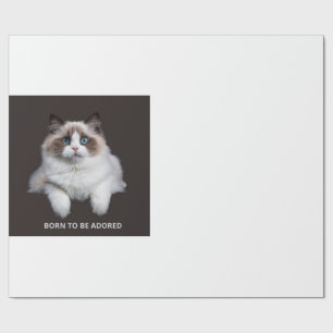 Papel De Presente Caneca de Gato - Nascido Para Ser Adorado