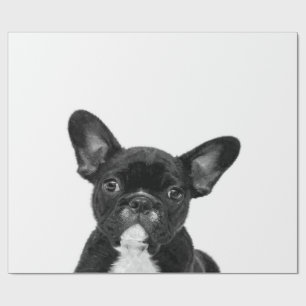Papel De Presente Cão Adorável Rosto de Buldogue Francês Preto
