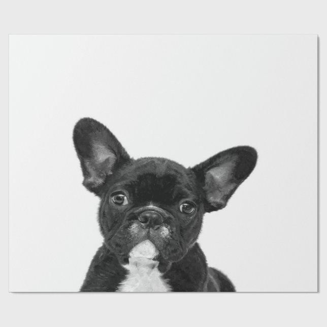 Papel De Presente Cão Adorável | Rosto de Buldogue Francês Preto (Aberto)