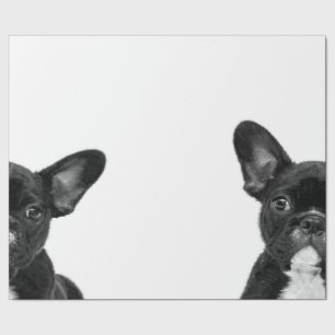 Papel De Presente Cão Adorável  Rosto de Buldogue Francês Preto