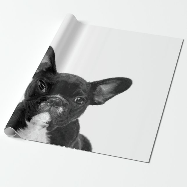 Papel De Presente Cão Adorável | Rosto de Buldogue Francês Preto (Desenrolado)