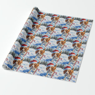 Papel De Presente Cão Brittany Spaniel Apontando para Doce de Natal