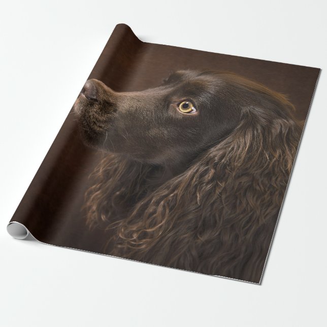 Papel De Presente Cão De Cabelo Castanho (Desenrolado)