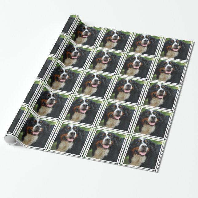 Papel De Presente Cão de montanha de Bernese do bebê (Desenrolado)