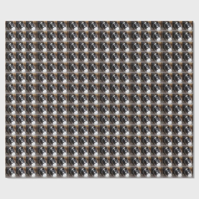 Papel De Presente Cão de Pastoreio Shetland Preto e Branco (Aberto)