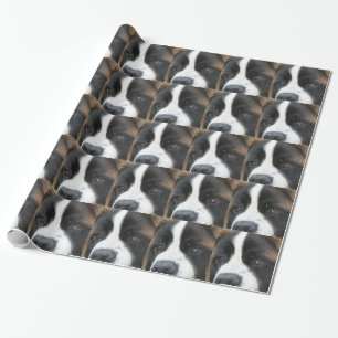 Papel De Presente Cão de St Bernard