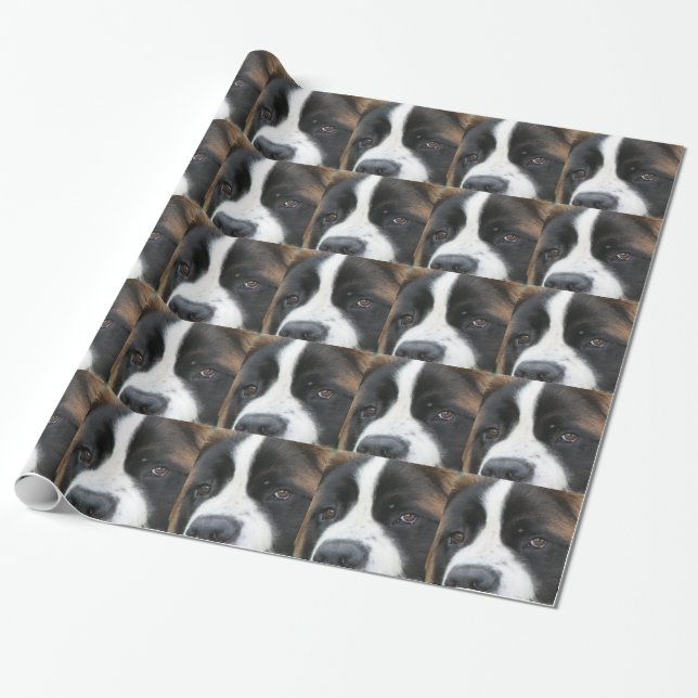 Papel De Presente Cão de St Bernard (Desenrolado)