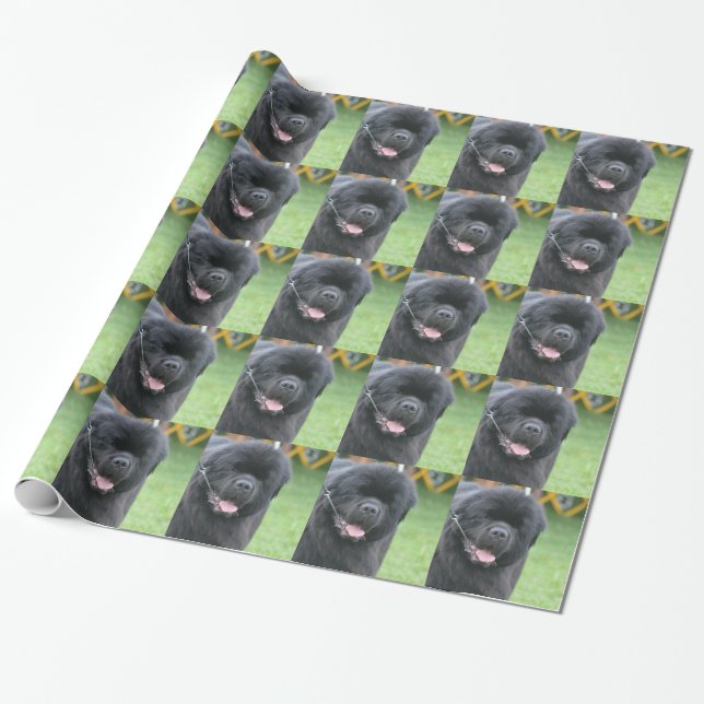 Papel De Presente Cão de Terra Nova (Desenrolado)