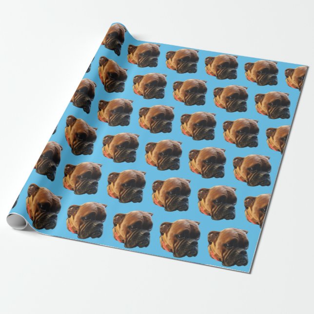 Papel De Presente Cão Foto Boxer Puppy Azul Brilho Personalizado (Desenrolado)