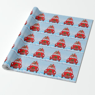 Papel De Presente Cão Shiba Inu No Carro Com Papai Noel