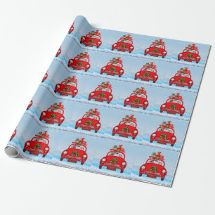 Papel De Presente Cão Yorkshire Terrier no carro com Papai Noel