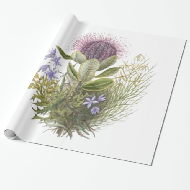Papel De Presente Cardo dos Wildflowers do vintage (Desenrolado)
