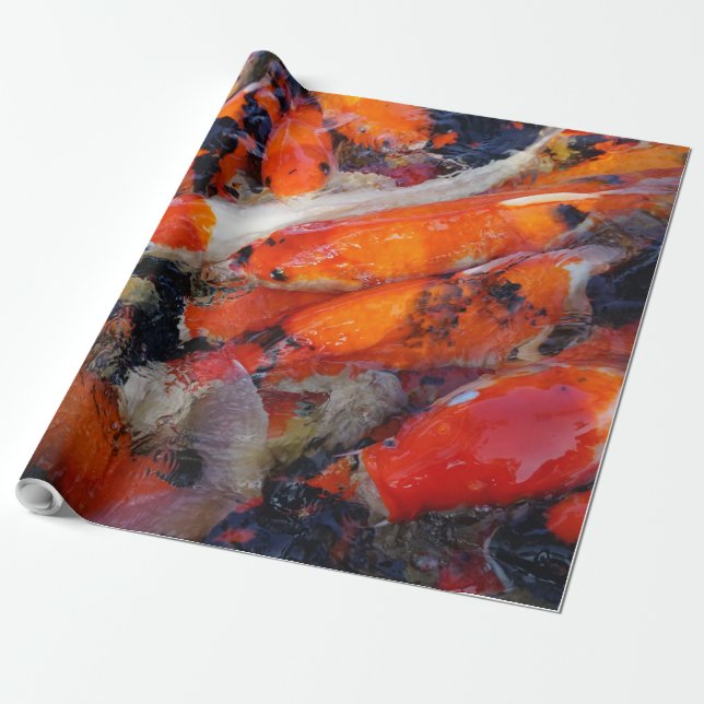Papel De Presente Carpa (Desenrolado)
