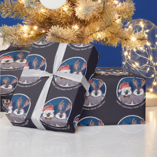 Papel De Presente Casal de Pinguim de Natal Papais noeis bonitos e r